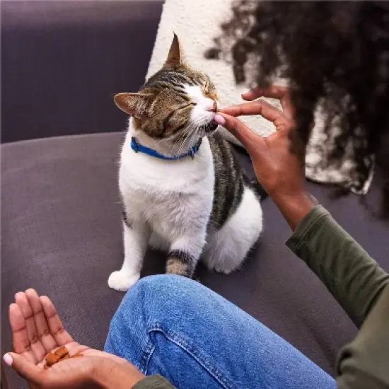 Temptations Feline Favorites with Seafood, Tuna and Chicken Flavor Cat Treats - 6pk image {3}