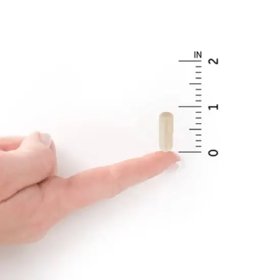 Garden of Life Probiotic Critical Care Capsules - 30ct image {5}