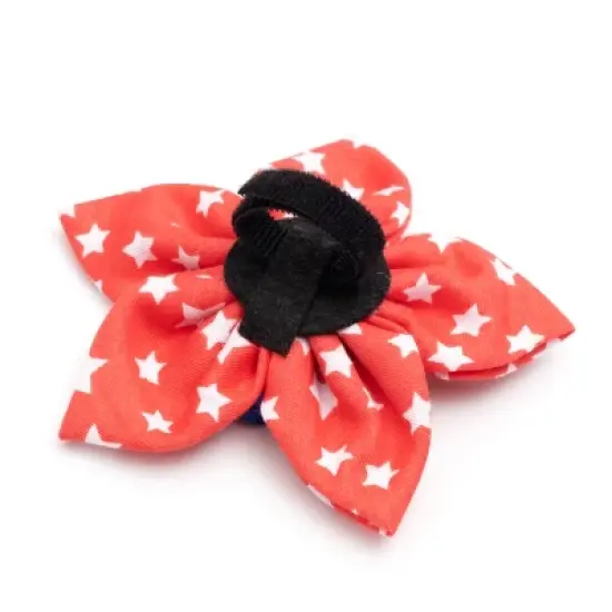 The Worthy Dog Stars Flower Accessory image {1}