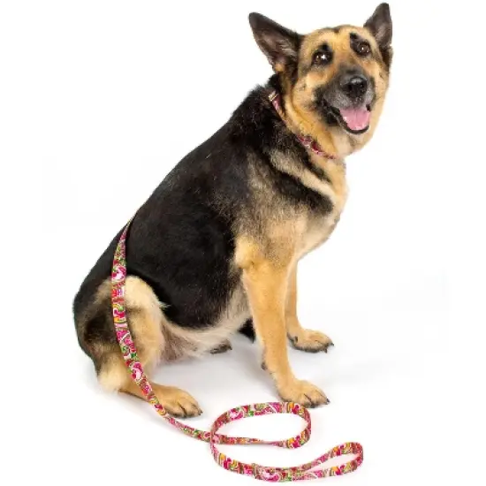 Country Brook Petz Martingale Collar and Leash - Paisley Collection image {9}