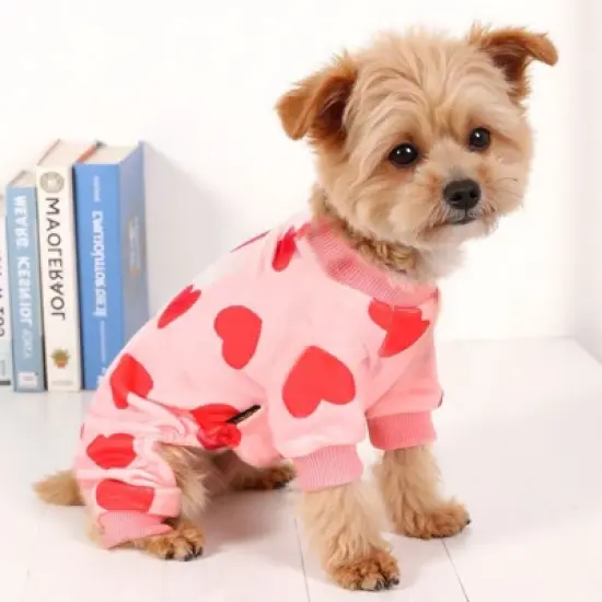 Paaaawaters Dog Fuzzy Velvet, Small Winter Clothes for Dogs Boy Girl, Pet Jumpsuit image {5}