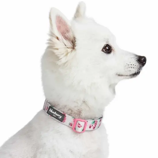 Blueberry Pet Spring Scent Inspired Rose Blossom Floral Print Dog Collar image {4}