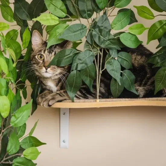 On2Pets Canopy Shelves Cat Beds - White image {3}