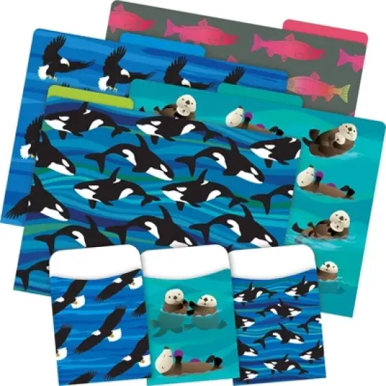 Barker Creek Folder / Pocket File Folders - Sea & Sky: Multicolor Cardstock, Top Tab, 100 Sheet Capacity, 42 Pack image {1}