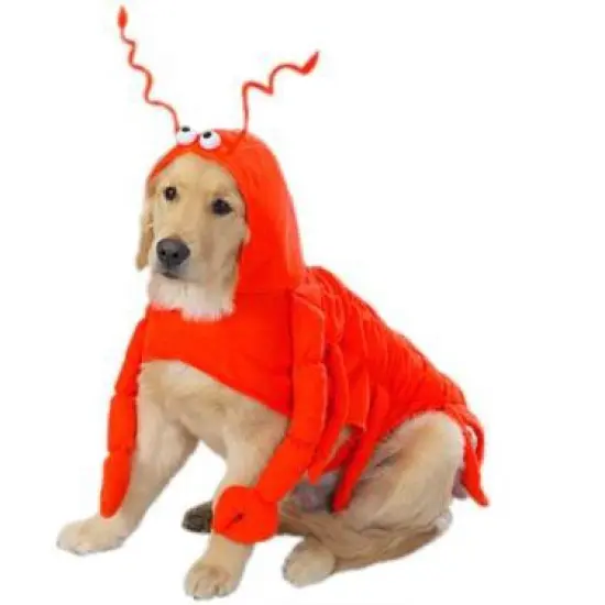 Casual Canine Lobster Paws Dog Costume image {1}