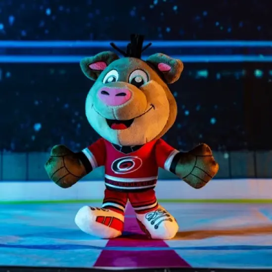 Bleacher Creatures Carolina Hurricanes Stormy 8" Kuricha Mascot Sitting Plush image {6}