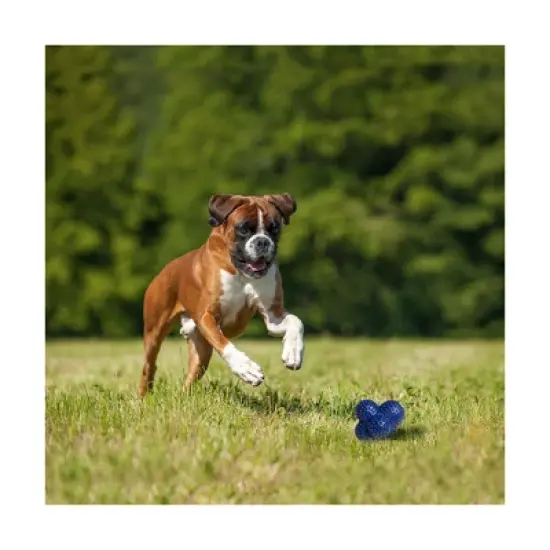 Nylabone Power Play Crazy Ball Dog Toy Large image {3}