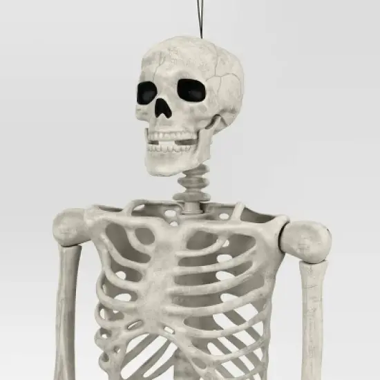60" Poseable Bone Skeleton Halloween Decorative Prop Off-White - Hyde and EEK! Boutique&trade; image {2}