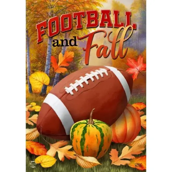 Briarwood Lane Fall Garden Flag 12x18 For Outdoor Fall and Football For Fall Garden Flag Flags For Outside image {2}