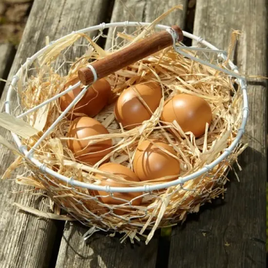 Yellow Door Play Eggs, 6 Per Pack image {1}