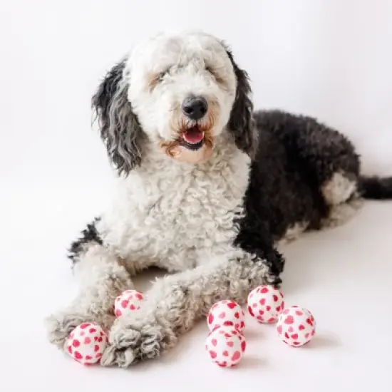 Midlee Valentine's Hearts Dog Tennis Balls Regular image {2}