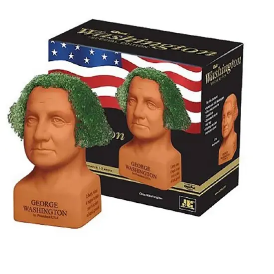 Joseph Enterprises, Inc George Washington Chia Pet Decorative Pottery Planter image {1}