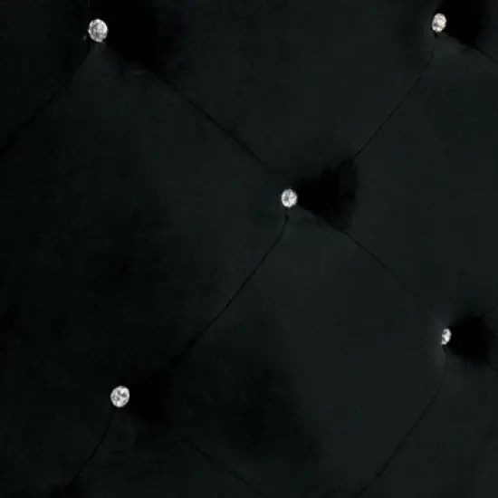 Queen Washington Upholstered Adult Bed Black - HOMES: Inside + Out image {3}