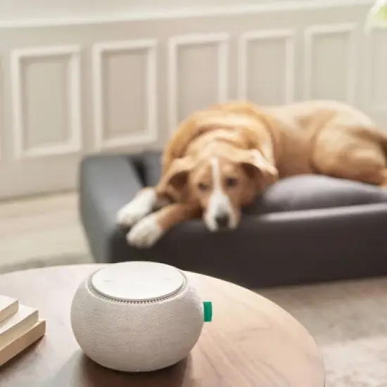 Tuft & Needle x Snooz White Noise Sound Machine image {7}