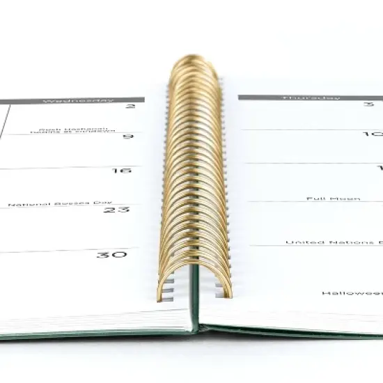 Mead 2025-2026 Weekly/Monthly 11"x9.375" Sage Large Planner image {4}