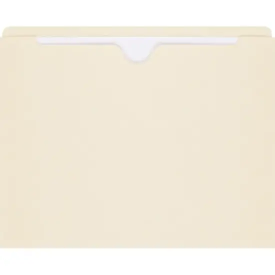 Medical Arts Press Letter Size Top-Tab File FP11 image {1}