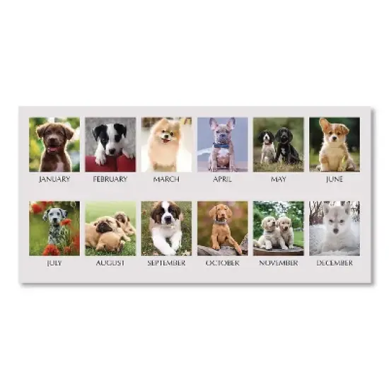 Earthscapes Recycled Desk Tent Monthly Calendar, Puppies Photography, 8.5 x 4.5, White Sheets, 12-Month (Jan to Dec): 2026 image {2}