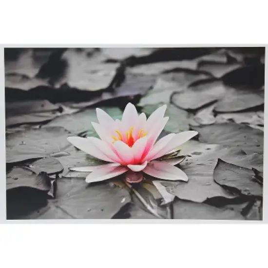 PPD Glossy Photo Paper 11x17" 50 sheets 280 gsm for Inkjet Printers image {4}