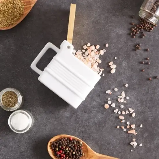 Rsvp Stoneware Salt Box image {4}