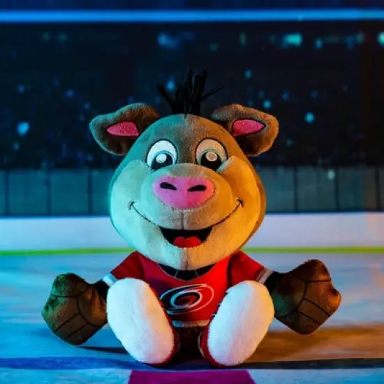 Bleacher Creatures Carolina Hurricanes Stormy 8" Kuricha Mascot Sitting Plush image {5}