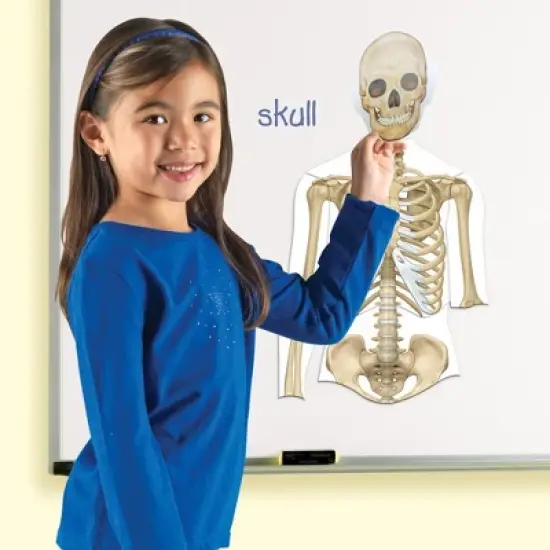 Learning Resources Double-Sided Magnetic Human Body image {4}