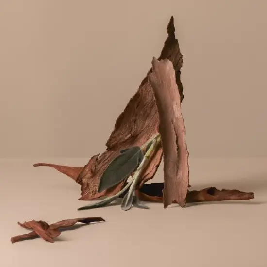 Being Frenshe Glow On Perfume Oil - Palo Santo Sage - 0.84 fl oz image {3}