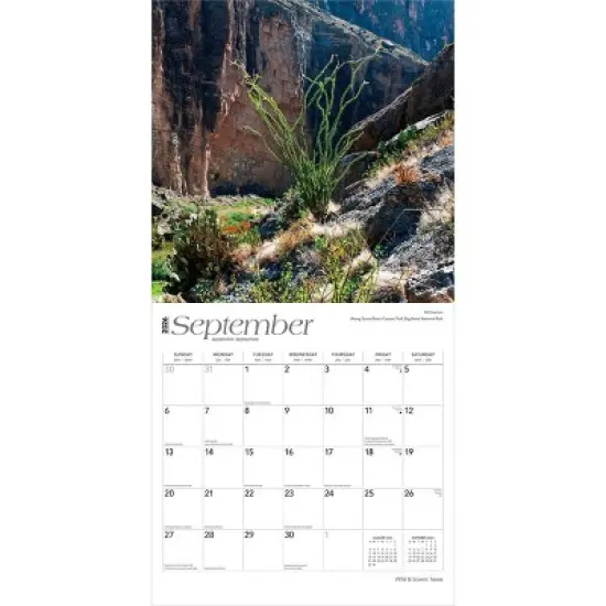 BrownTrout Texas Wild and Scenic 2026 12"x24" Hanging Square Wall Calendar Plastic-Free image {3}