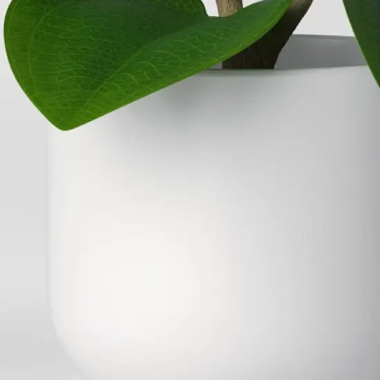Artificial Leaf Plant - Threshold&trade;: Peperomia Caperata in Melamine Pot, Indoor Faux Flora Decor image {4}