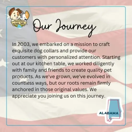 Country Brook Petz HossFit Jr Wide Martingale Dog Collar - Groovy Collection image {7}