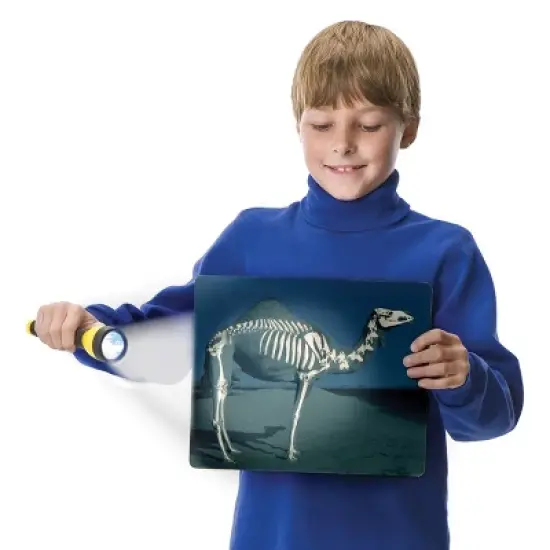 Roylco What's Inside Animals? image {2}