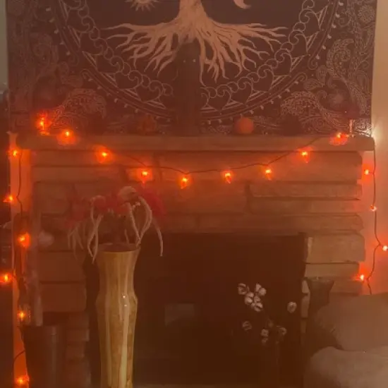 Northlight 35-Count Orange Chili Pepper Patio String Light Set, 22.5ft Brown Wire image {3}