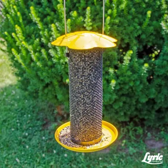 Lyric Finch - Small Songbird Wild Bird Seed for Outside Feeders, Attracts Goldfinches, House Finches & More, 5 lb Bag image {7}