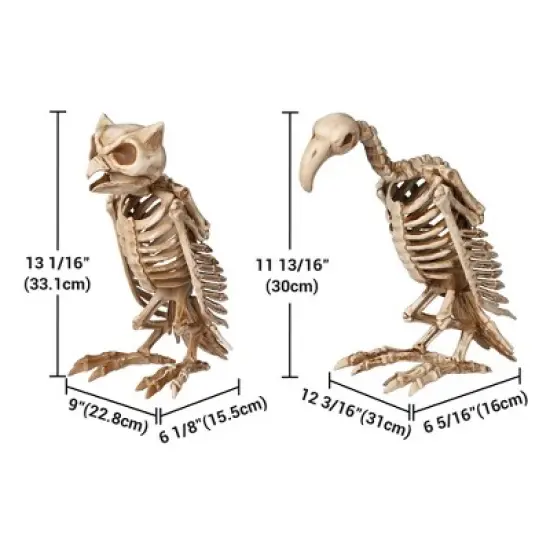 Yescom 1 Pcs Vulture & 1 Pcs Owl Skeleton Halloween Decor Life Size Animal Props Indoor Outdoor 2025 image {8}