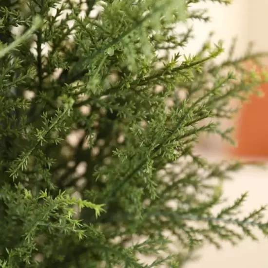 DR.Planzen Faux Cypress Topiary Trees for Outdoors, Fake Cypress Trees for Home Decor Office Living Room Porch Patio Perfect Housewarming Gift image {2}