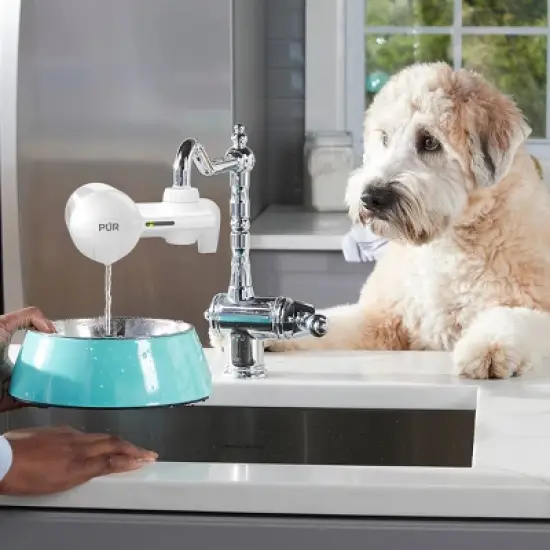 PUR Faucet Mount Water Filtration System, Powerful Filtration with Lead Reduction, Horizontal, White, PFM150W: Sink Water Filter, Kitchen Appliances image {11}