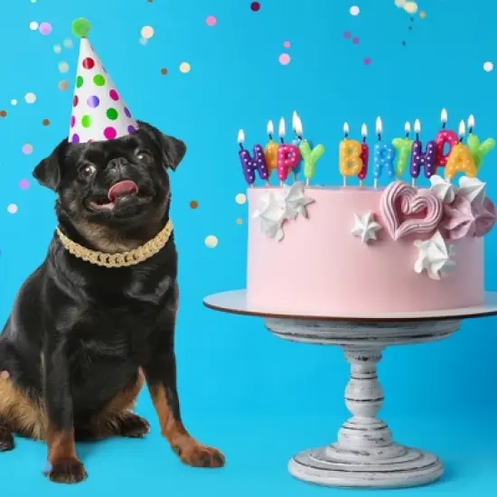 Unique Bargains Durable Rhinestone Dog Chain 1 Pc image {5}