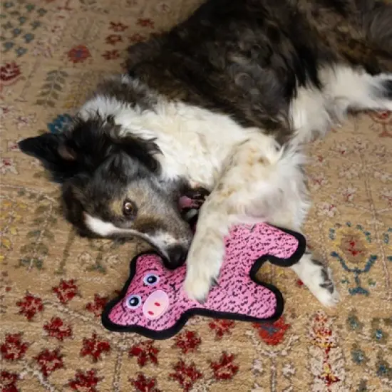 KONG Pig FlyKnit Ballistic Dog Animal Toy image {3}