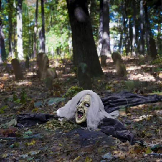 Nifti Nest Halloween Groundbreaker Wicked Witch Zombie image {5}