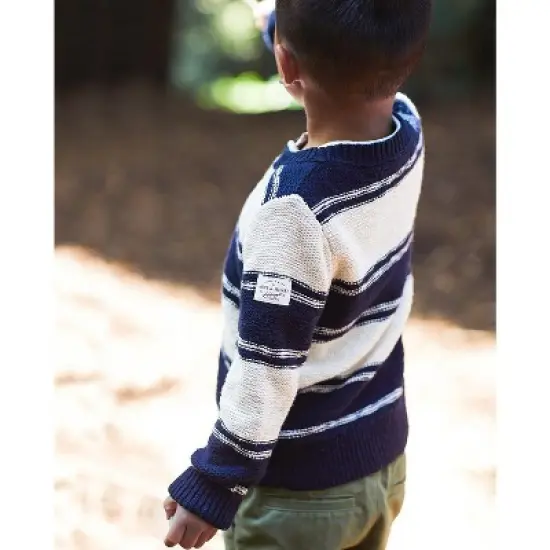 Hope & Henry Boys' Crew Neck Sweater, Infant image {1}