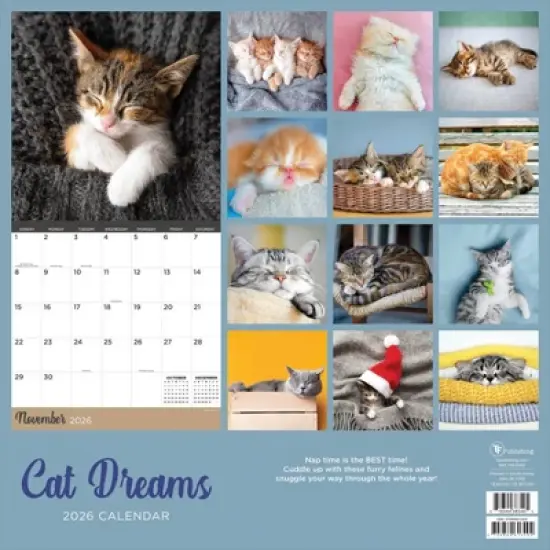 TF Publishing 13.5"x14.5" 2026 Cat Dreams Wall Calendar image {4}