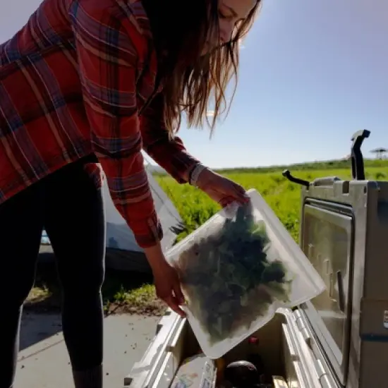 (re)zip Reusable Leak-proof Gallon Bag - 3pk image {1}