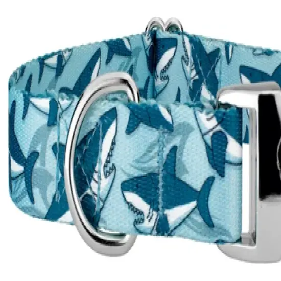 Country Brook Petz Premium Sharks Dog Collar image {4}