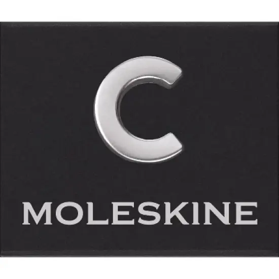 Moleskine Pins C Silver image {2}