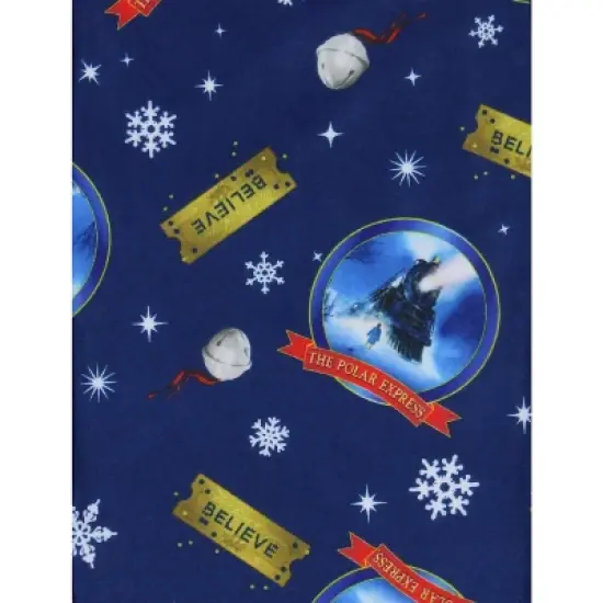 Polar Express Boys' Christmas Movie Believe Train Pajama Sleep Pants Blue image {2}