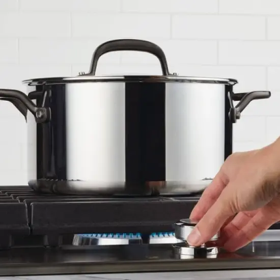 KitchenAid 6qt 5-Ply Clad Stainless Steel Induction Stockpot with Lid Silver image {1}