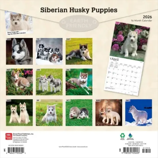 BrownTrout Siberian Husky Puppies 2026 12"x24" Hanging Square Wall Calendar Plastic-Free image {1}