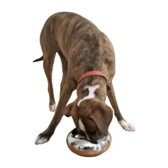Unspill-a-Bowl&reg; Stainless Steel Dog Bowl - Classic Silver | No Spill, Long Ears, Slow Feeding image {2}