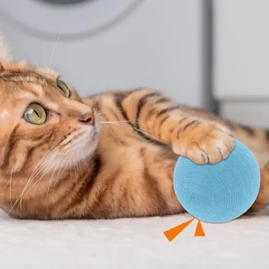 Unique Bargains Cat Playing Ball with Bell 1 Pc image {1}