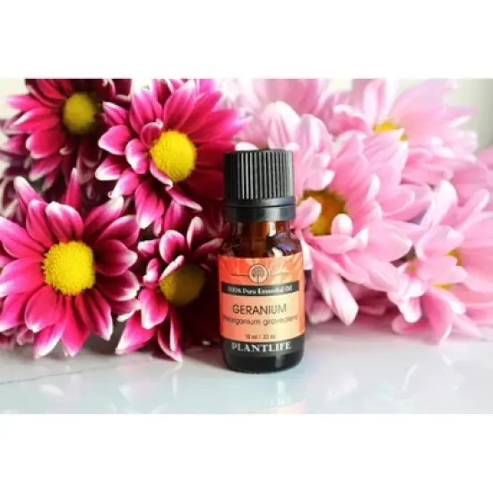 Plantlife Geranium Aromatherapy Essential Oil &ndash; 100% Pure, Therapeutic Grade, No Additives or Fillers, 10 ml image {2}