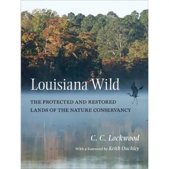Louisiana Wild - by  C C Lockwood (Hardcover) image {1}